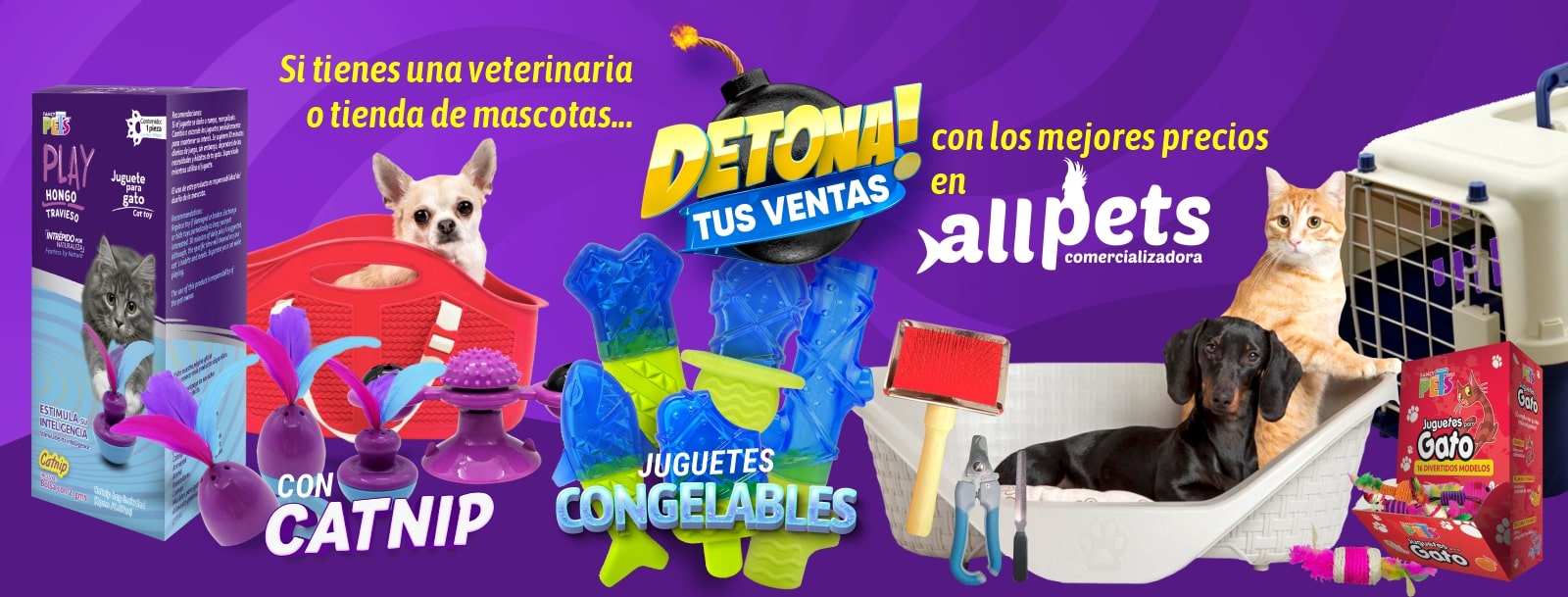portada allpets comercializadora para veterinarias y estéticas canicas