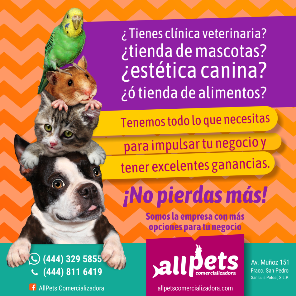 ALLPETS peoductos para mascotas